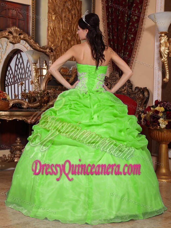 Spring Green Ruched Appliqued Strapless Organza Quinceanera Dress with Pick-ups