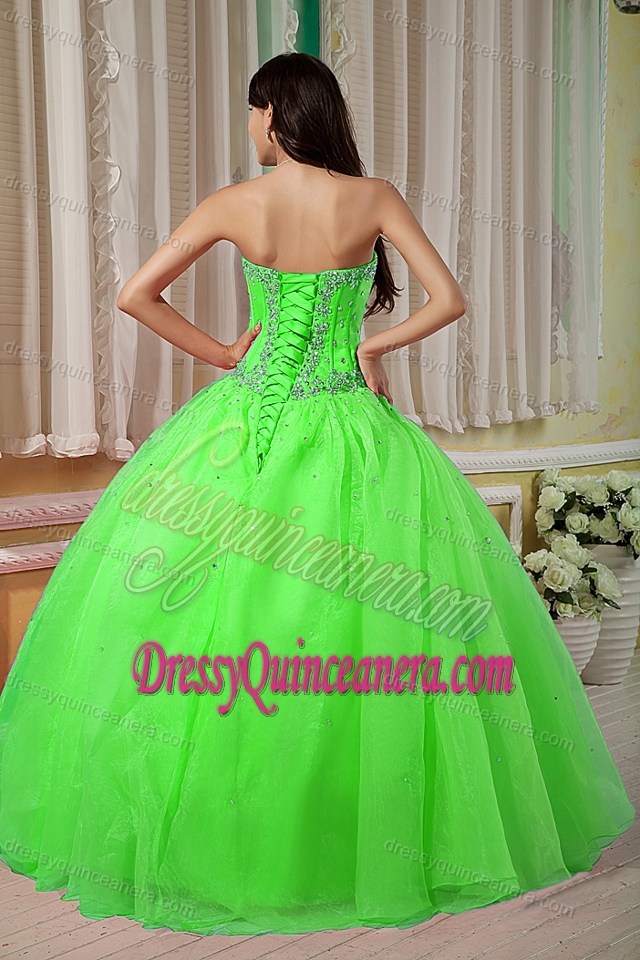 2013 Popular Spring Green Ball Gown Organza Beaded Quinceanera Gown