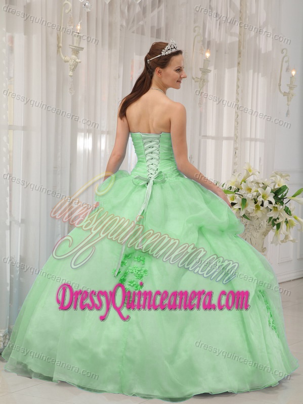 Apple Green Sweetheart Organza Quinceanera Dress with Appliques on Sale