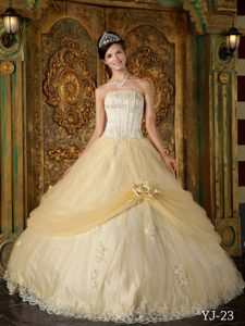 Champagne Strapless Tulle Sweet 15 Dress with Appliques and Handle Flower