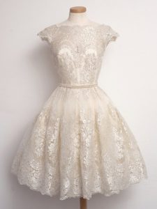 Cap Sleeves Lace Lace Up Quinceanera Dama Dress