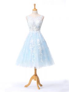 Vintage Light Blue Sleeveless Tulle Backless Dama Dress for Quinceanera for Prom and Party and Wedding Party