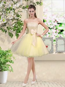 Amazing Light Yellow Sleeveless Organza Lace Up Dama Dress for Prom and Party