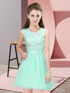 Fitting Apple Green A-line Lace Quinceanera Dama Dress Side Zipper Tulle Sleeveless Mini Length
