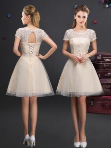 Ideal Scoop Champagne Short Sleeves Mini Length Lace and Appliques and Belt Lace Up Dama Dress for Quinceanera
