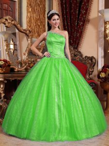Spring Green One-shoulder Ball Gown Quinceanera Dress with Beading on Promotion