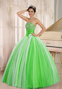 2013 New Arrival Multi-color Tulle Quincanera Dresses with Hand Flower