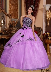 Beautiful Lavender Organza Quinceanera Dress with Embroidery on Promotion
