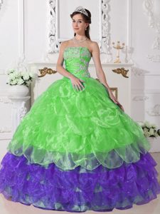 Colorful Strapless Organza Quinceanera Dresses with Appliques Decorated