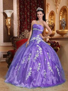 Beautiful Strapless Organza Quinceanera Dress with Appliques on Promotion