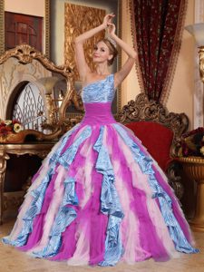 Multi-color One Shoulder Ruffled Tulle and Zebra Quince Dress with Lace-up