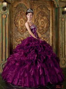 Luxurious Long Strapless Ruffled Organza Sweet Sixteen Dress in Purple