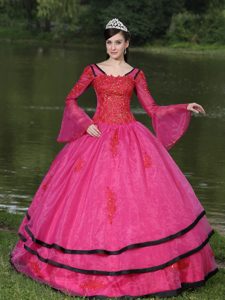 Newest Hot Pink Long Sleeves Ball Gown Organza Quinceanera Dress with Appliques