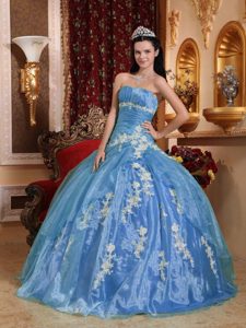 Ball Gown Strapless Discount Dresses for Quinceanera with Appliques