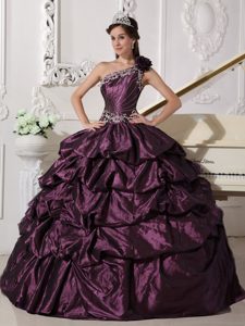 One Shoulder Taffeta Appliqued Purple Quinceanera Dress with Pick-ups