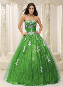 2014 Wonderful Green Sequin and Tulle Strapless Quinceanera Dress with Appliques