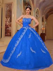 Sweetheart Floor-length Organza Dress for Quince with Embroidery in Sky Blue